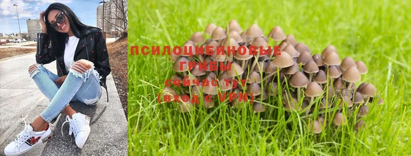прущий лед Абдулино